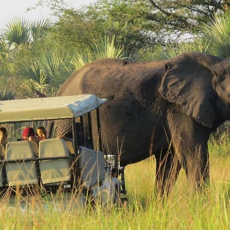 Tembe Elephant Park Lodge Sihangwane エクステリア 写真