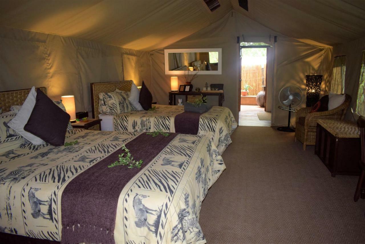Tembe Elephant Park Lodge Sihangwane エクステリア 写真
