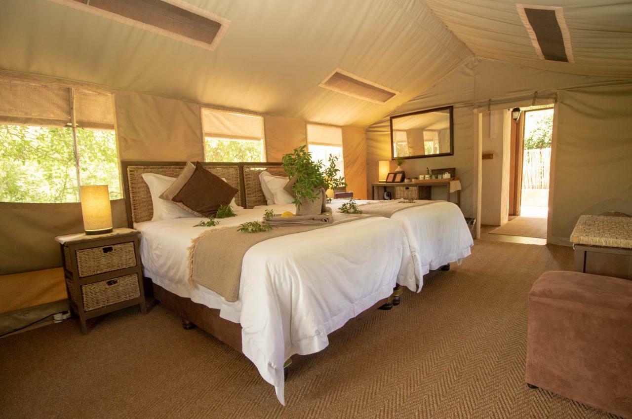 Tembe Elephant Park Lodge Sihangwane エクステリア 写真