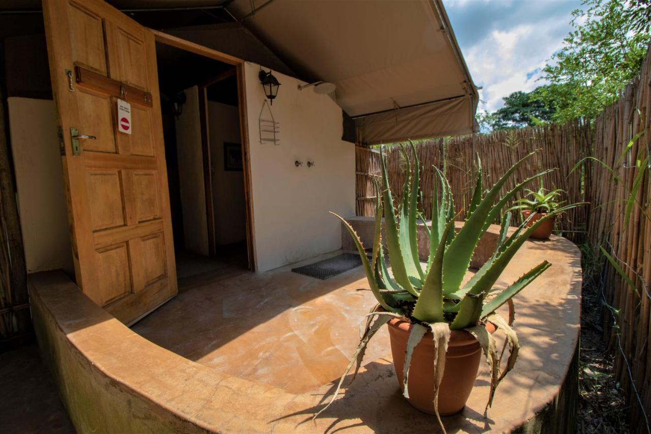 Tembe Elephant Park Lodge Sihangwane エクステリア 写真
