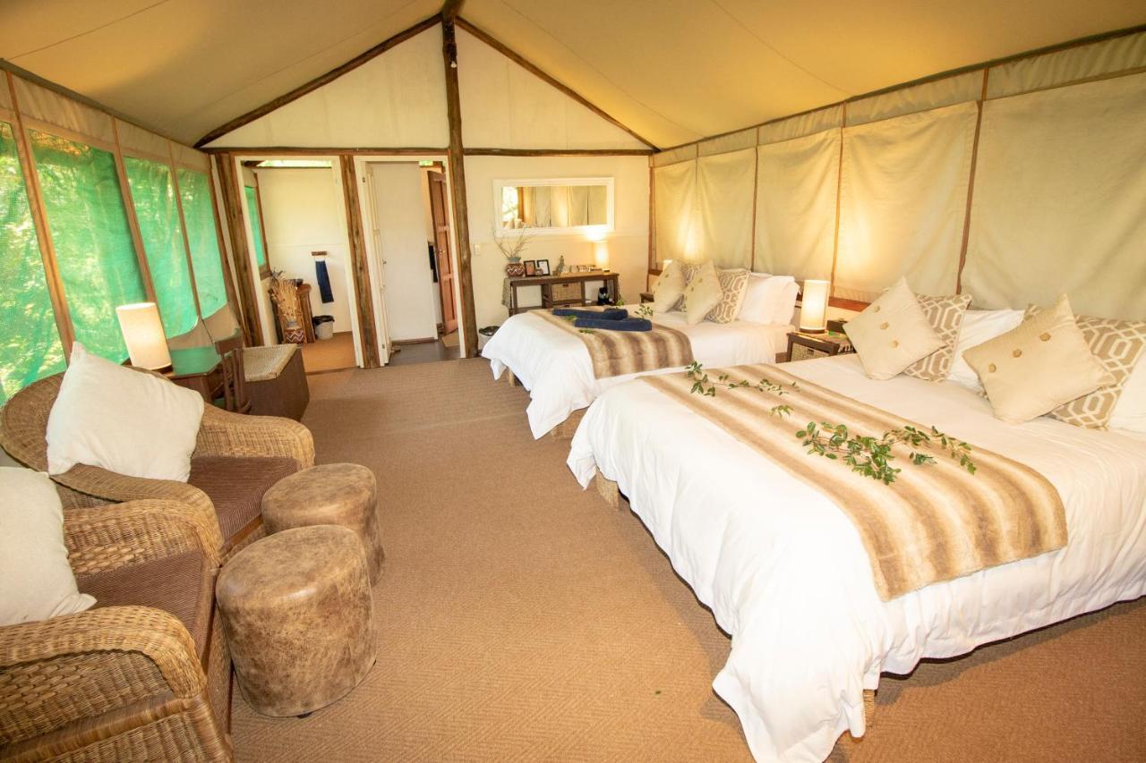 Tembe Elephant Park Lodge Sihangwane エクステリア 写真