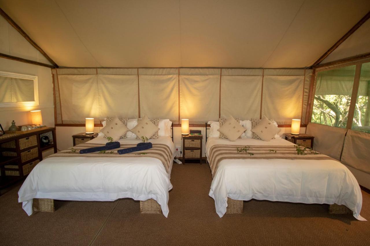Tembe Elephant Park Lodge Sihangwane エクステリア 写真